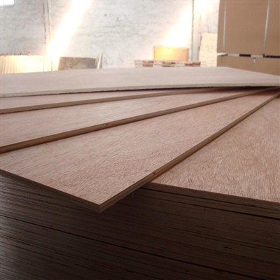 AAA / AA Grad Rosa Morada Triplay