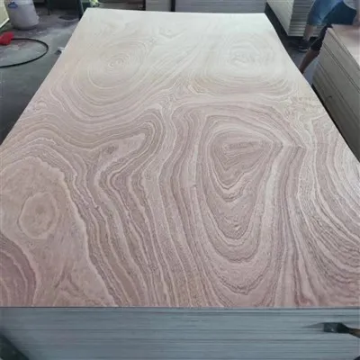 Sapele Veneer Plywood Fancy